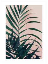 Palmiye N2 - Art Print